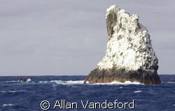 Approach to Roca Partida in the Revillagigedos Islands of... by Allan Vandeford 